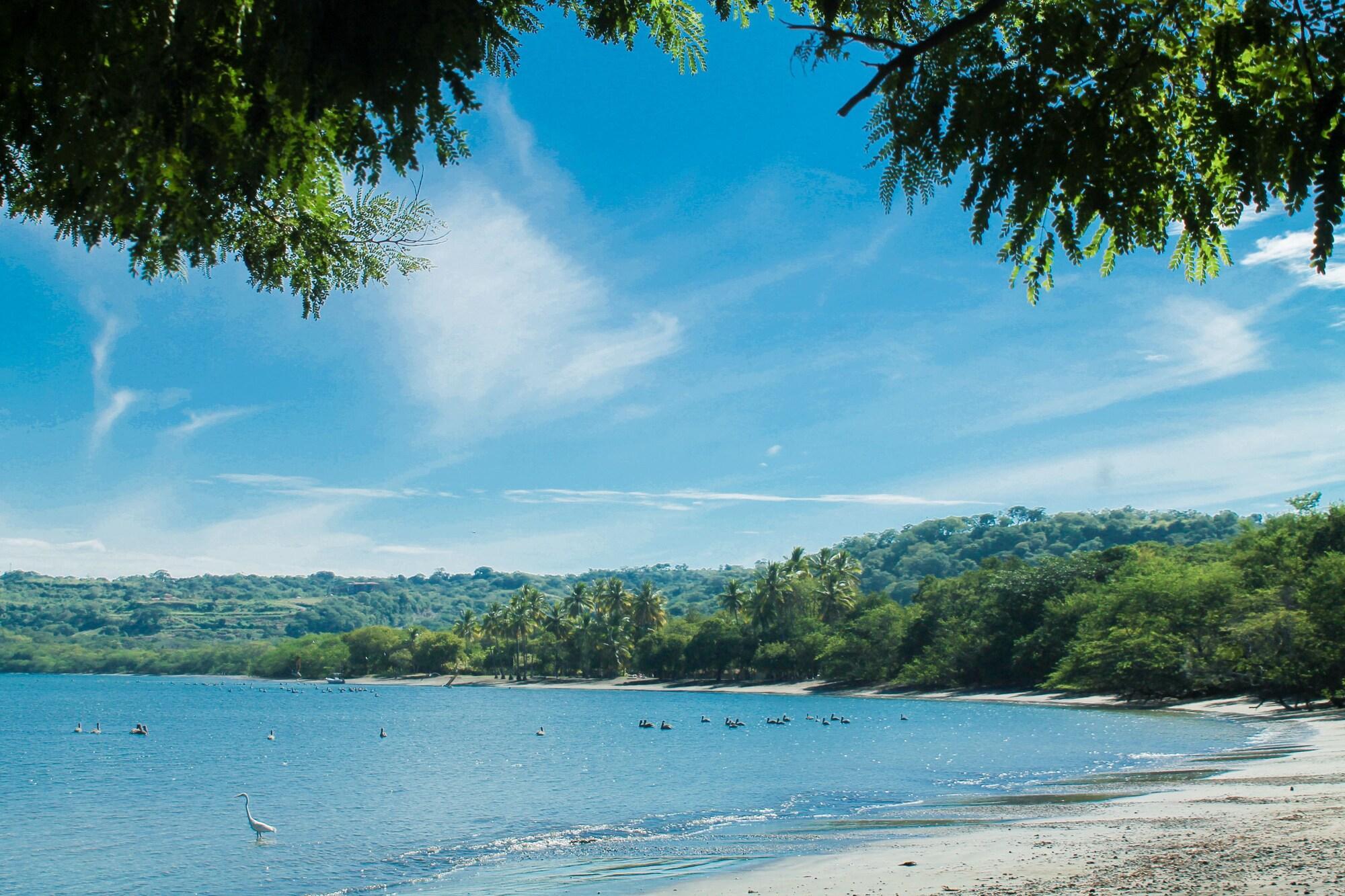 Papagayo Golden Palms Beachfront Hotel Panamá Dış mekan fotoğraf