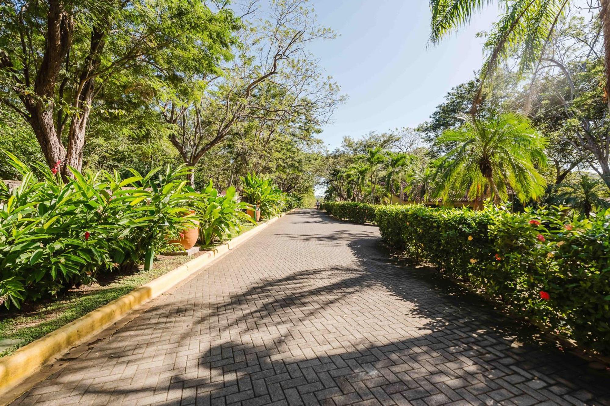 Papagayo Golden Palms Beachfront Hotel Panamá Dış mekan fotoğraf